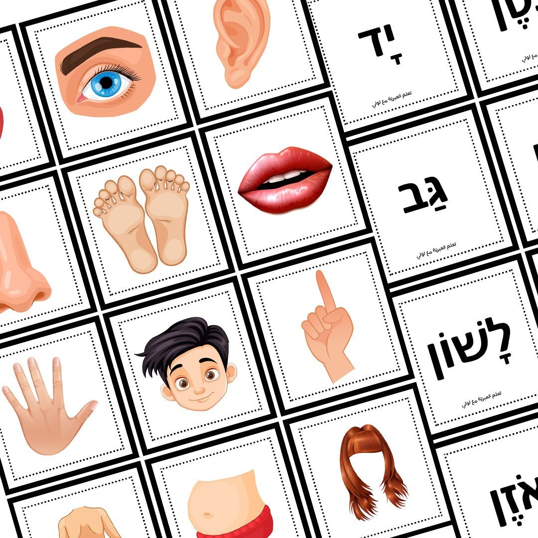 1 – אתר לולי הלימודי ללימוד בית