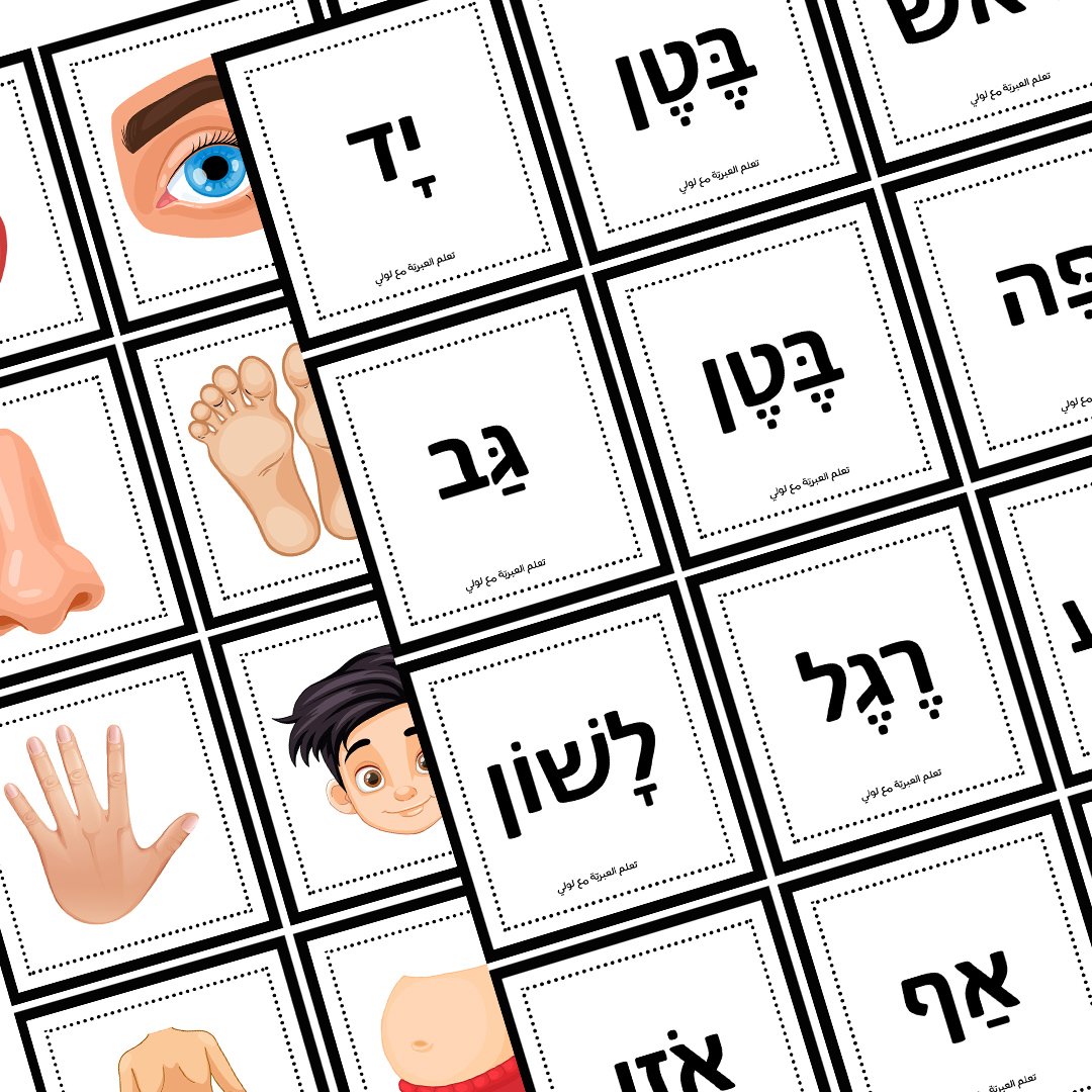 2 – אתר לולי הלימודי ללימוד בית