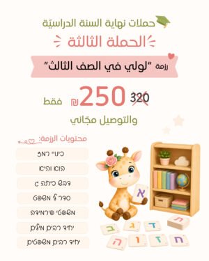 "Looly in Grade 3" Kit – Printed Flashcard Set